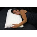 Ultra Plush Memory Foam Ventilated Pillow and Rayon from Bamboo Cover Set