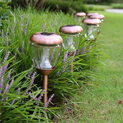 Deco Solar Outdoor Accent Lights (Set of 6)