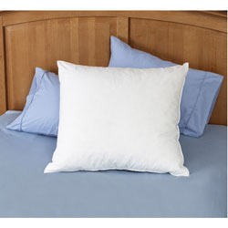 Natural Euro Square Pillows (Set of 2)