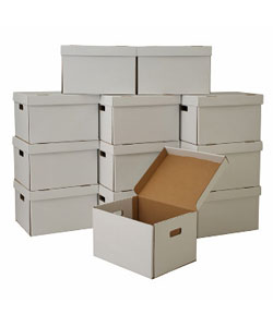Set of 12 File Boxes