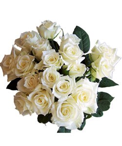 Simply White One Dozen Roses (+6 free) Bouquet