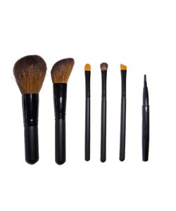 Travel Makeup Brushes