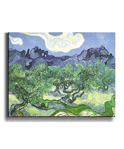 The Olive Trees by van Gogh Stretched Canvas Art