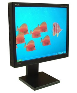 Nec 1860NX 18-inch Flat Panel LCD Monitor (Refurb)