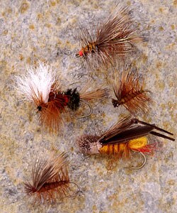 All Around 36-piece Dry Flys Fly Fishing Selection