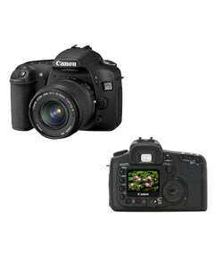Canon EOS Rebel 30D 8MP Digital SLR Camera (Refurbished)