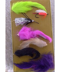 Alaskan Salmon/ Steelhead Fly Set