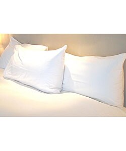 Allergy Free Standard-size Pillow Protector (Set of 2)