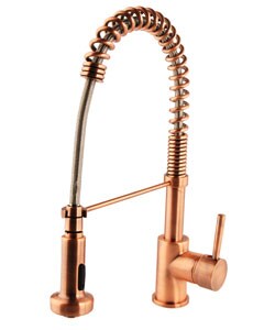 Fountain Cove Modern Kitchen Pull Down Faucet