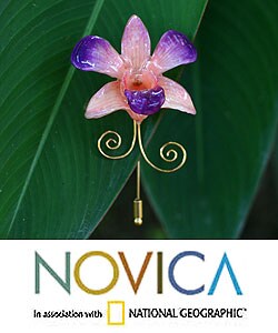 Goldplated Natural Orchid 'Glorious Dawn' Stickpin (Thailand)