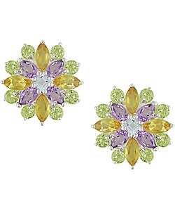 Sterling Silver Multi-gemstone Earrings