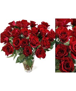 Bouquet of 75 Fresh Red Roses (20 in. stem length)