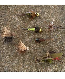 36-piece Survival Fly Collection