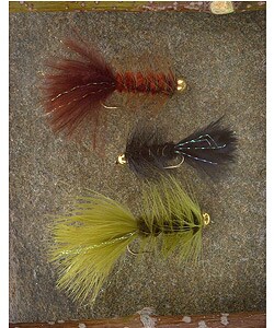 Wooly Bugger 36-piece Fly Collection