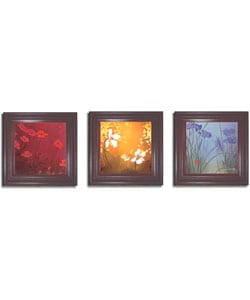 Don Li-Leger 'Aura' Framed Canvas 3-piece Set