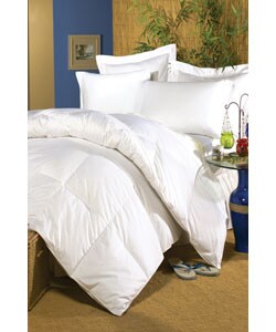 Egyptian Cotton 400 Thread Count Down Blend Comforter
