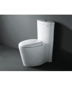 Royal Monterey Dual Flush Toilet