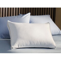Personal Choice 300 Thread Count Circle of Down Gusset Pillow