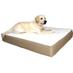 Small to Medium Orthopedic Dog Pet Bed (24 in. x 34 in.)
