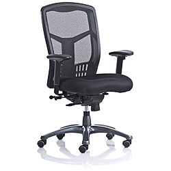 Ergo Mesh High-back Executive Chair