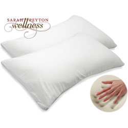 Sarah Peyton Memory Foam Traditional Pillow (Set of 2)