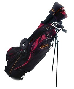 Wilson PowerSource 16-piece Golf Set and Bag