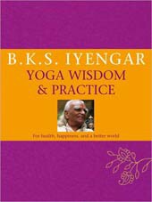 Yoga Wisdom & Practice (Hardcover)