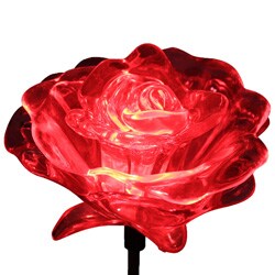 Color Changing Solar Roses (Pack of 2)