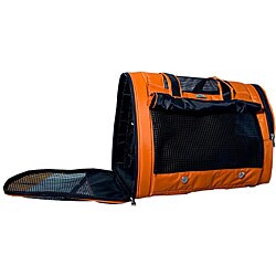 Aspen Large Pet Carrier