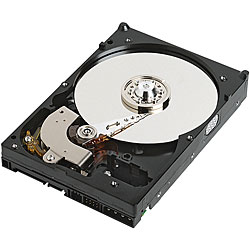 WD3200KS 320GB Internal Hard Drive (Refurbished)