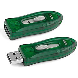 Kingston DT110 8 GB USB Hi-Speed USB Drive