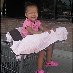 Pretty in Pink Grocery Cart Cover