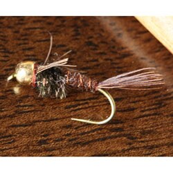 Flashback Pheasant Tail with Gold Bead Fishing Fly (Set of 12)