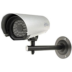SVAT CCD Colour Outdoor Camera with 24 IR LEDs