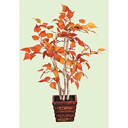 Autumn Mixed 2-foot Birch Tree