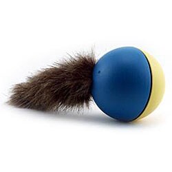 Wild Tail Crazy Chaser