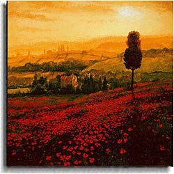 Steve Thoms 'Shades of Poppies' Canvas Art