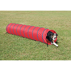 Open 10-foot Dog Tunnel