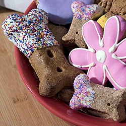 Dog Treat of the Month Club Subscription (6 months)