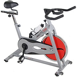 Stamina CPS 9200 Indoor Cycle Exercise Bike