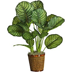 Calathea 'Real Touch' 31-inch Silk Plant