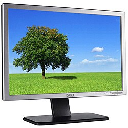 Dell SE198WFP 19-inch Widescreen LCD Monitor (Refurbished)