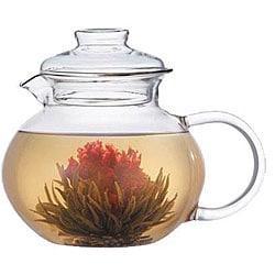 Primula Tea Pot/ Infuser