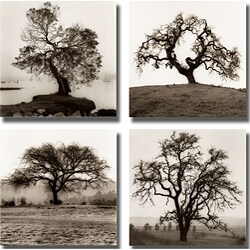Alen Blaustein 'Oaks and Willow Tree' 4-piece Canvas Art Set