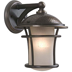 Olde Bronze 1-light Outdoor Wall Mount