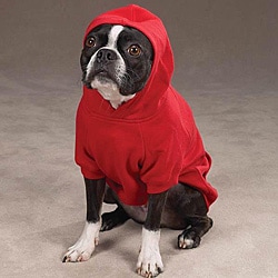 Zack & Zoey Soft Red Dog Sweatshirt