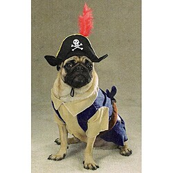 Pirate Pup Pet Halloween Costume