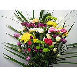 Simply Pompon and Miniature Carnation Bouquet (11 Stems)
