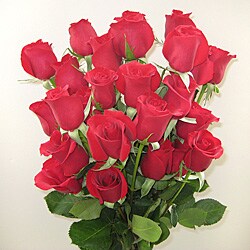 Two-for-one Red Rose Stimulus Package