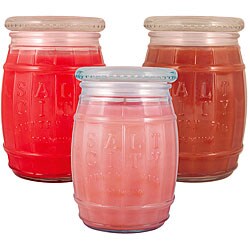 Salt City Candle Summer Cool 26-ounce Candle Gift